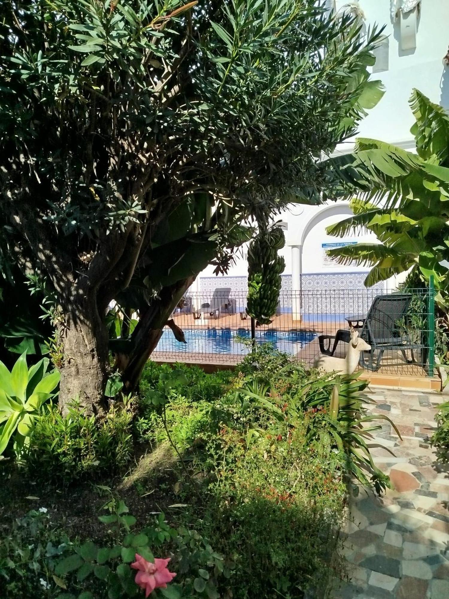El Jardin Benerjaアパートメント エクステリア 写真