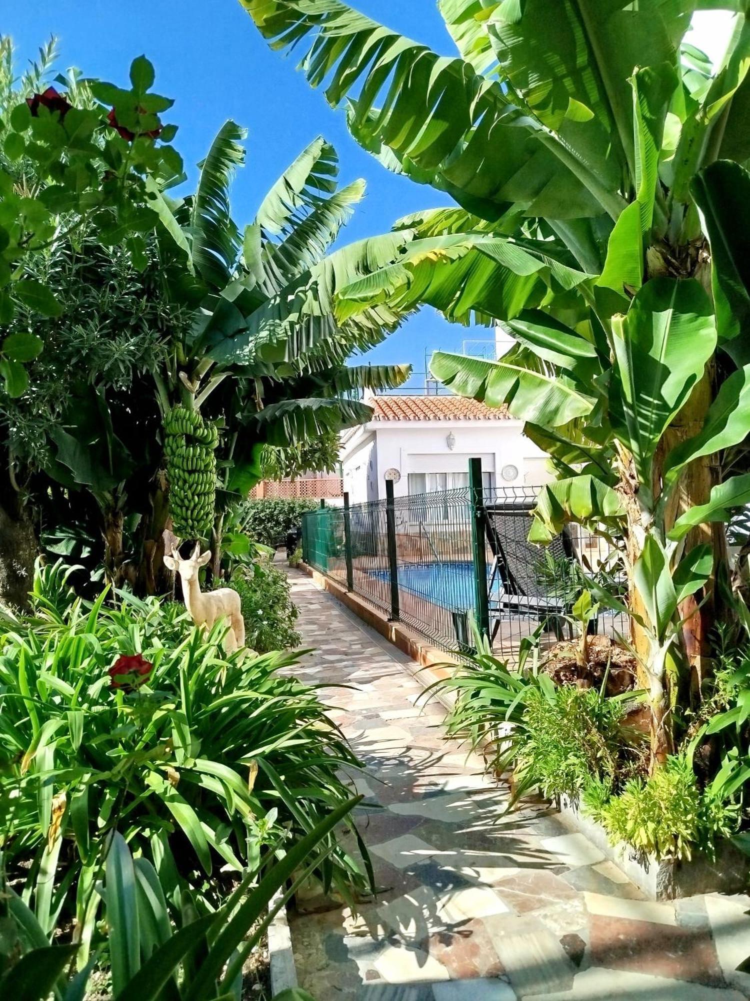 El Jardin Benerjaアパートメント エクステリア 写真